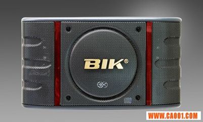 BIK BS998卡拉OK音箱批發(fā) 專(zhuān)業(yè)音響設(shè)備的高性價(jià)比選擇